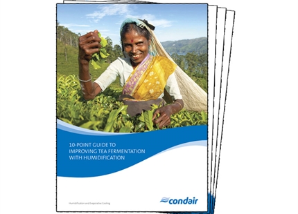 FREE 10-point guide to improving tea fermentation